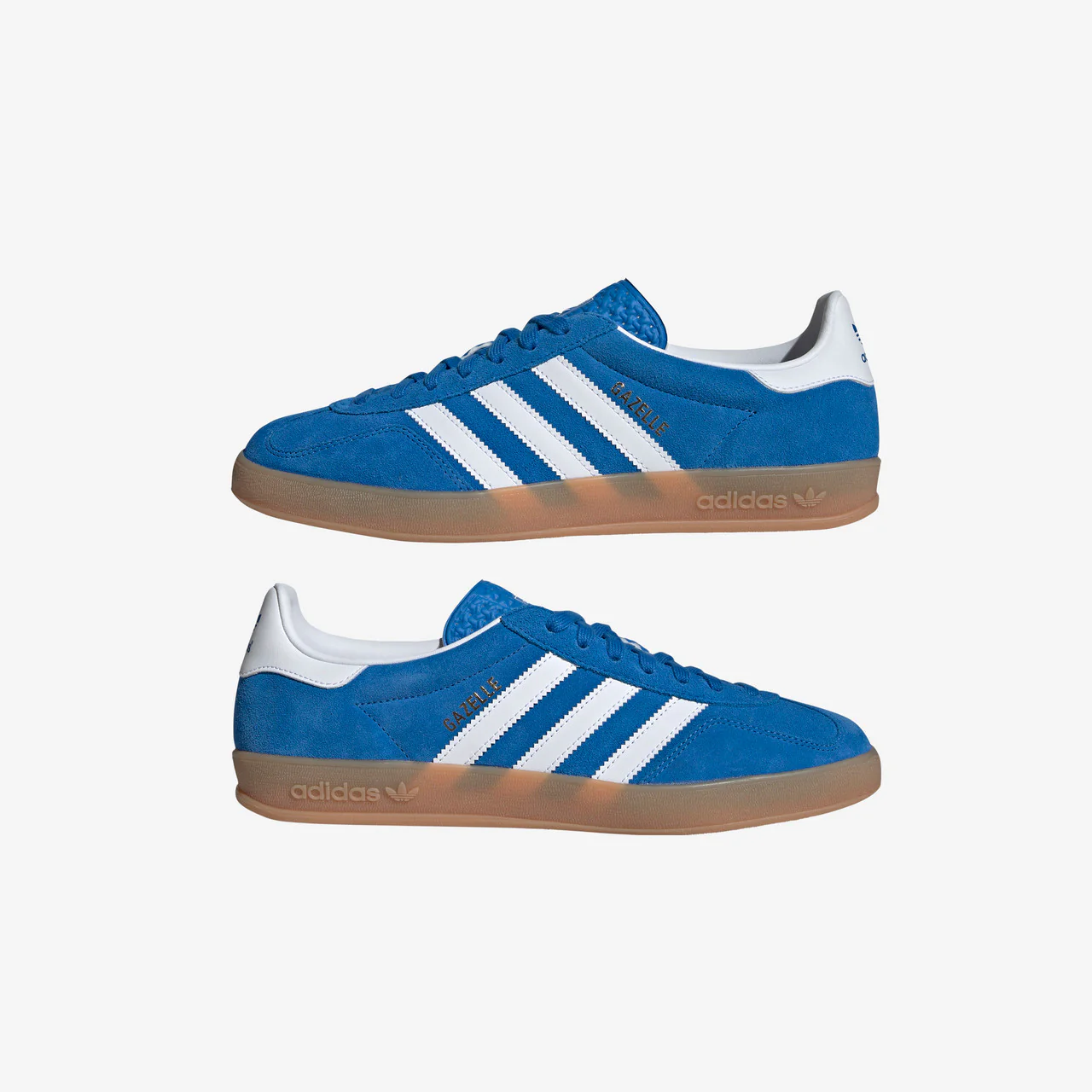 Gazelle Indoor - Image 9