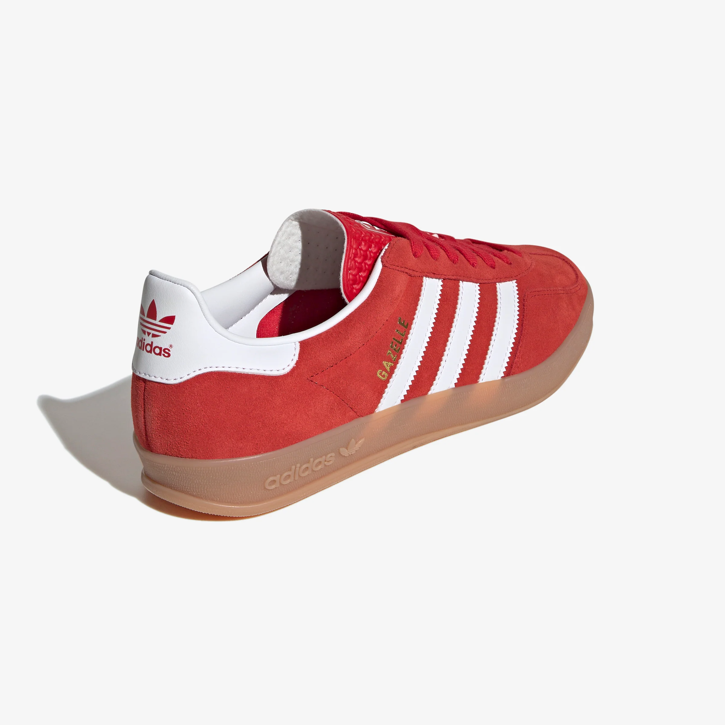 Gazelle Indoor - Image 4