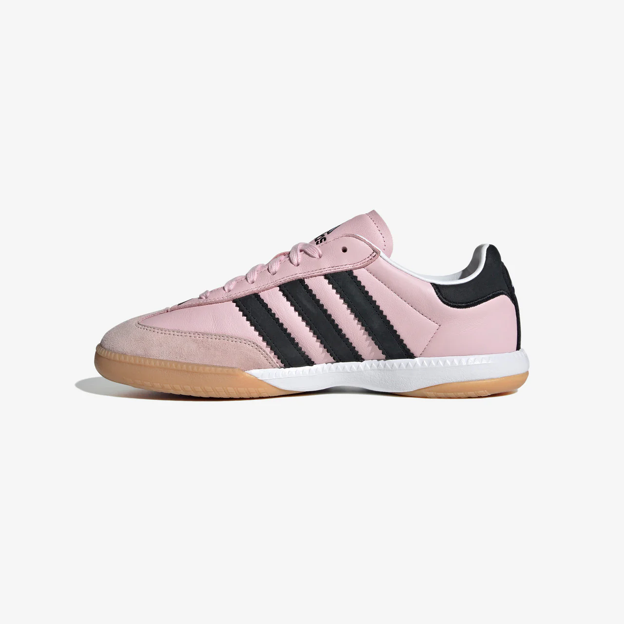 Samba MN - Image 4