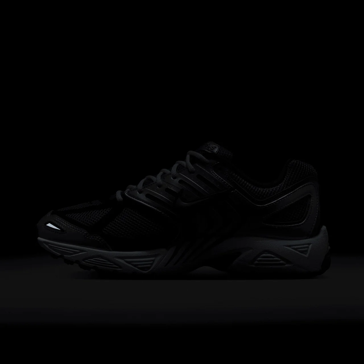 Air Pegasus 2005 - Image 9