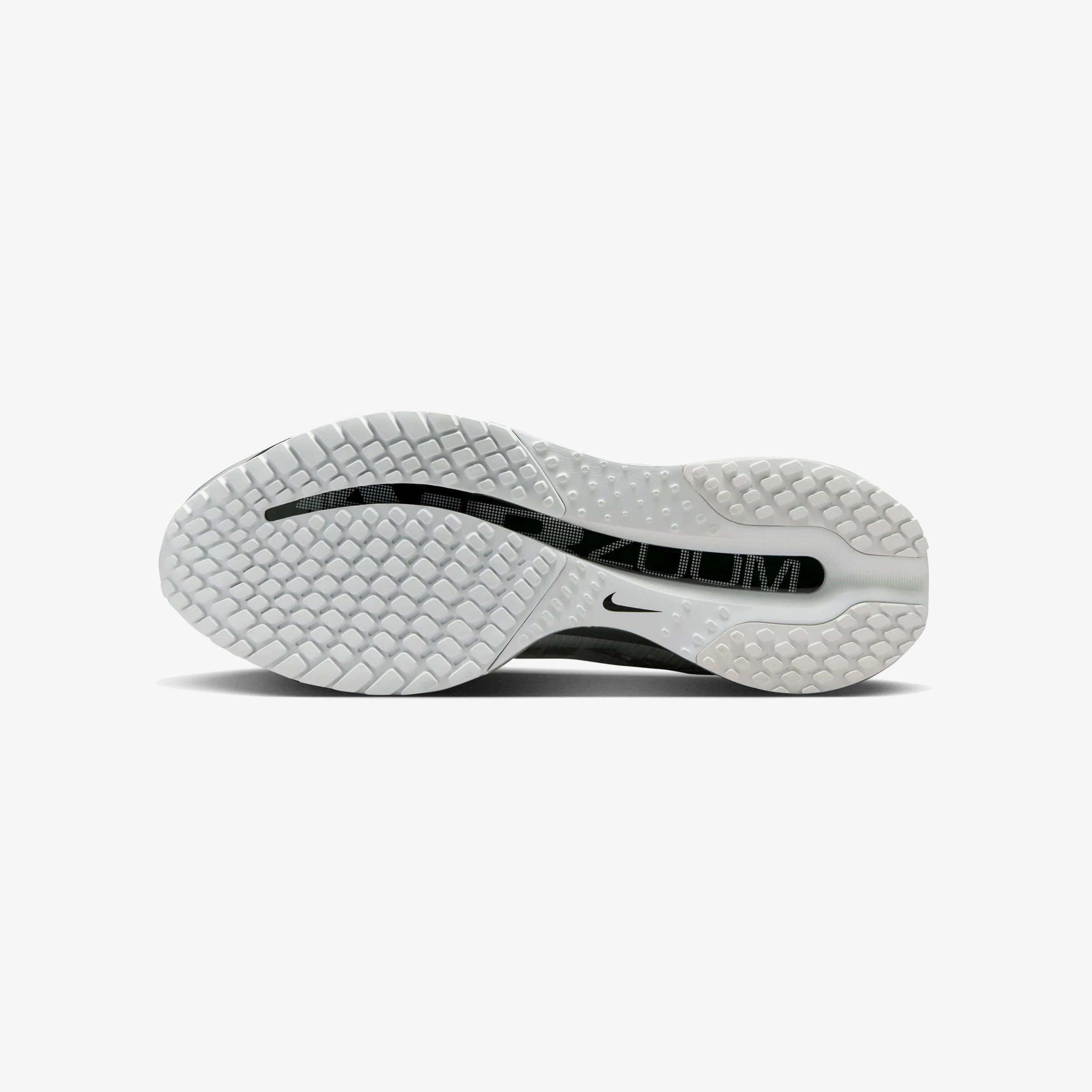 Pegasus Premium RR - Image 4